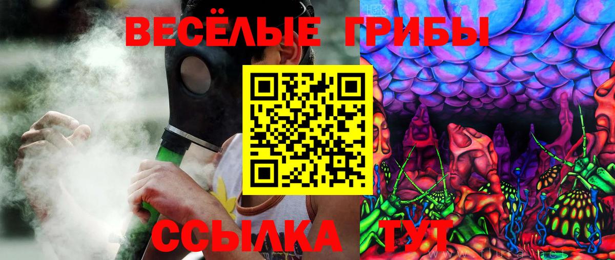 Псилоцибиновые грибы Psilocybine cubensis Щёлково