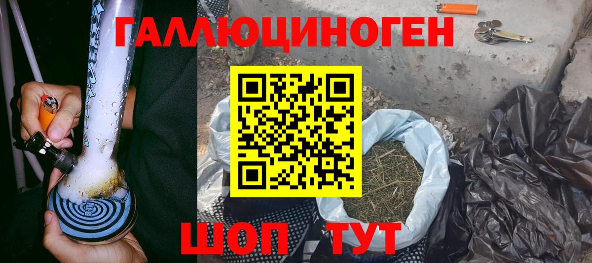 Галлюциногенные грибы прущие грибы  Вход с VPN  Щёлково 